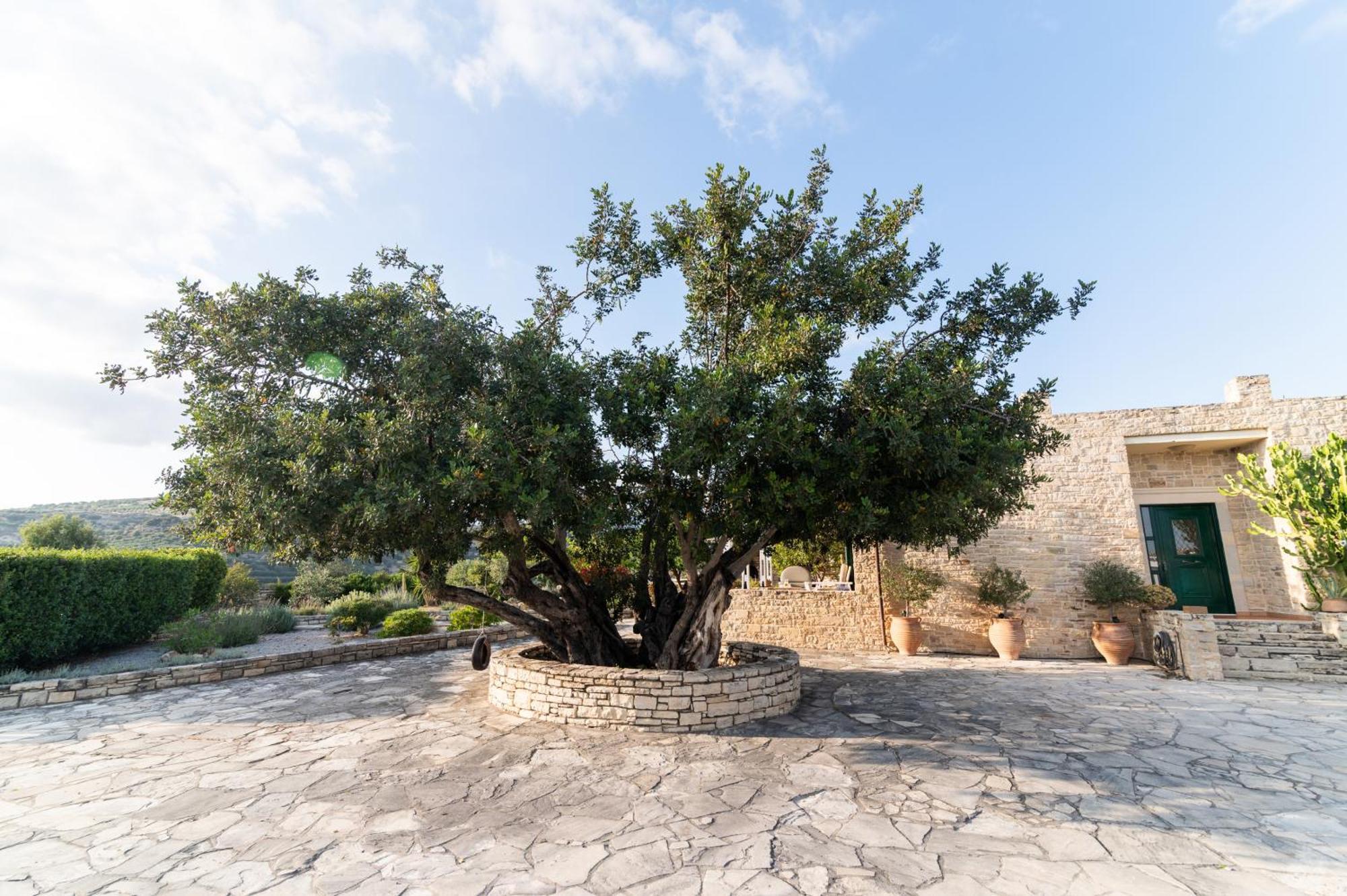 Carob Villa Moirai Экстерьер фото
