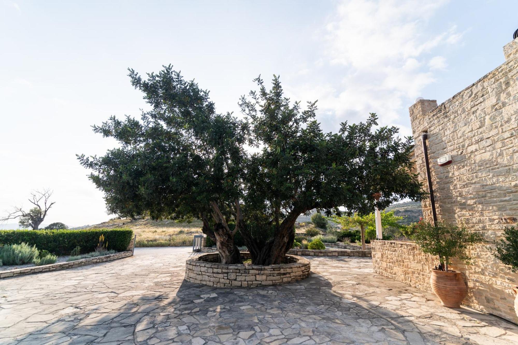 Carob Villa Moirai Экстерьер фото