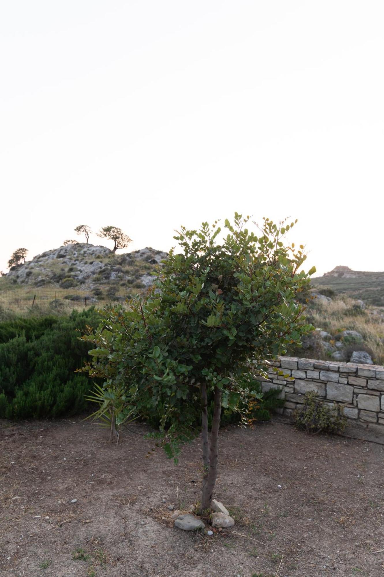 Carob Villa Moirai Экстерьер фото
